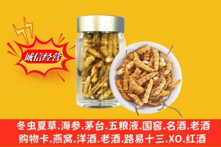 湛河区回收散虫草